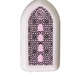 30-Para Plug-in Quran Speaker